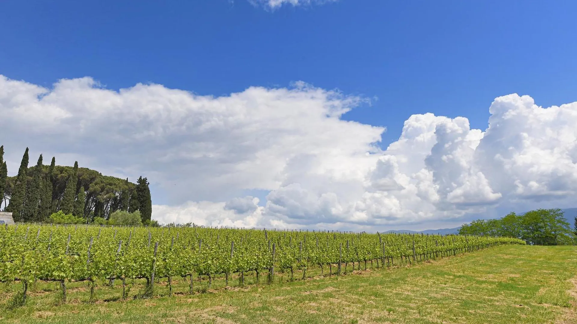 Tuscan Home Panoramic Hills Terrace - Happy Rentals Rignano Sull Arno